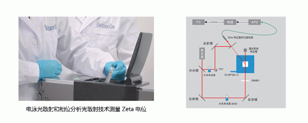 BeNano Zeta 电位分析仪